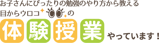 お子さんにぴったりの勉強のやり方を、120分で大発見!!