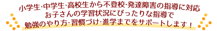 小学生・中学生・高校生”から不登校・発達障害の指導に対応。お子さんの学習状況にピッタリな指導で勉強のやり方・習慣づけ進学までをサポートします！