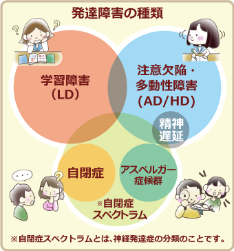 発達障害の種類、学習障害（LD）、注意欠陥・多動性障害（AD/HD）、自閉症、アスペルガー症候群、自閉症スペクトラム、※自閉症スペクトラムとは、神経発達症の分類のことです。