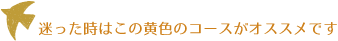 迷った時はこの黄色のコースがオススメです