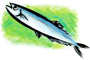 sanma