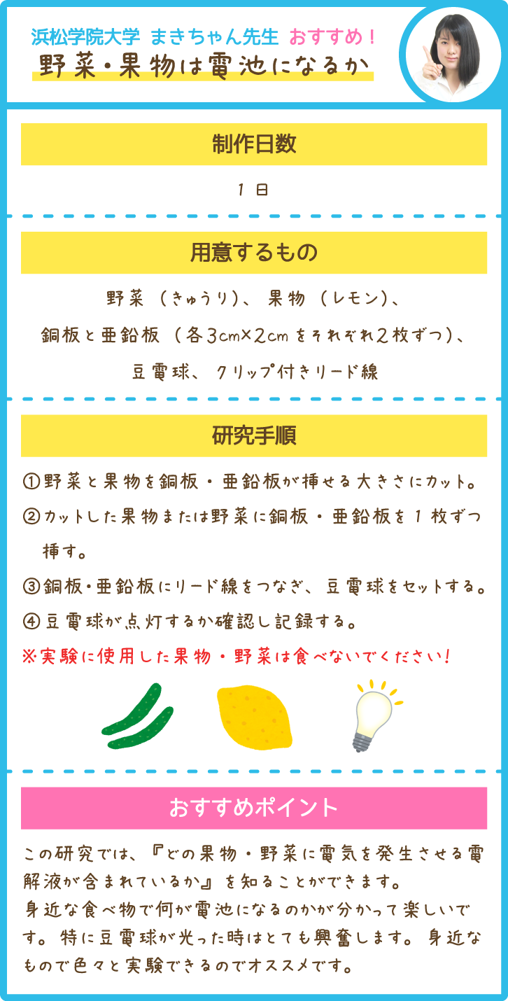 家庭教師の先生おすすめ 夏休みの自由研究テーマ 小学生 中学生向け 家庭教師のあすなろ