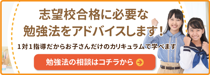 志望校合格に必要な勉強法をアドバイスします！1対1指導だからお子さんだけのカリキュラムで学べます。勉強法の相談はコチラから